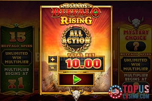 Buffalo spin and bonuses